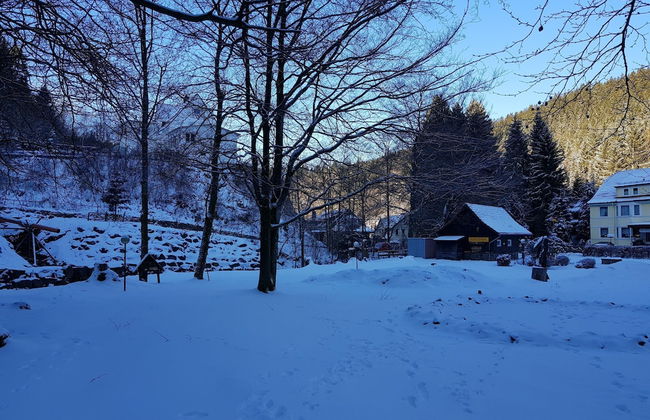 Alpine Escape in Wildemann - Foto 40