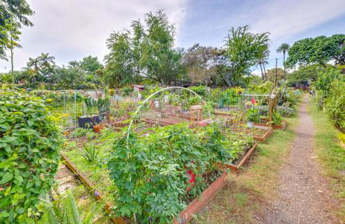 Honolulu Vacation Rental Walk to Beaches - Foto 23