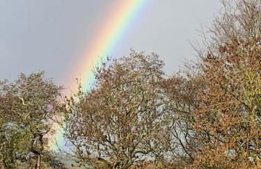 Mountain views in the heart of Brecon Town - Foto 66