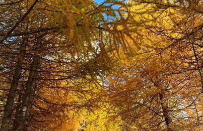 Appartamento Panoramic - Foto 29