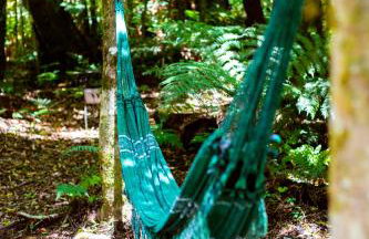 Cabana na Serra Gaúcha - Refúgio de São Chico - Foto 14