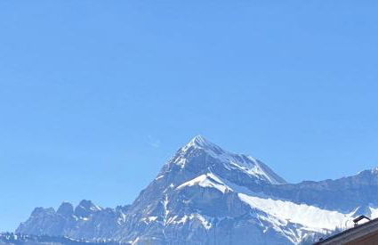 Le Courtis au Bourjaillet - Photo 9