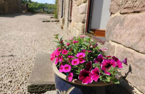 Wigwell Barn - Foto 15