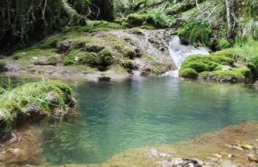 La Morada de Andoin - Foto 21