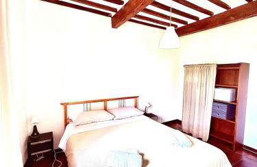 Ciliegia di Lari - Belvedere - Foto 11