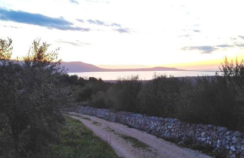 Torre Bruno - Foto 51