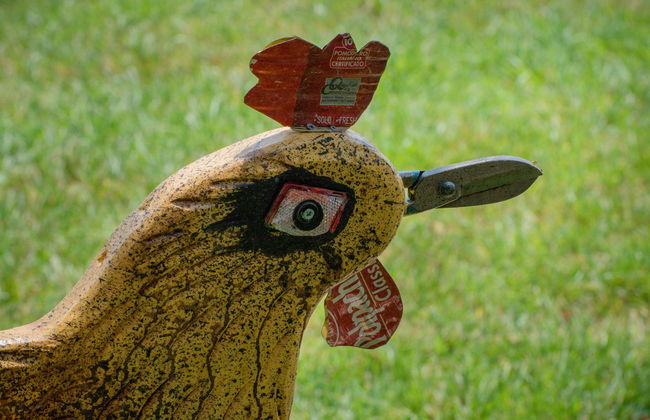 Rooster Guesthouse Rooms - Foto 4