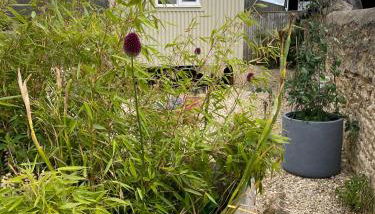 The Shepherd's Hut - Foto 3