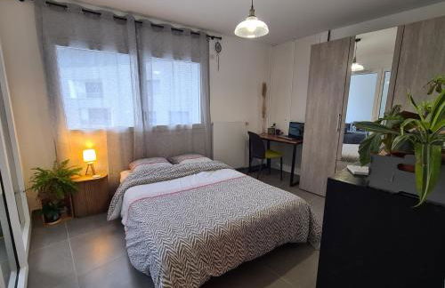 Aux Premières Loges - Vue Lac - Photo 10