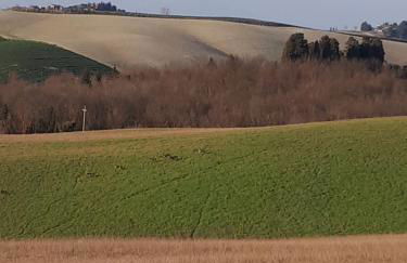 Casa di Giulia (Bambini gratis fino a 6 anni) - Foto 75