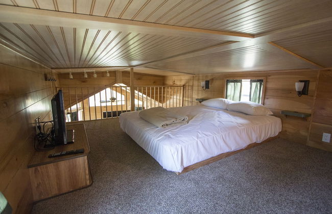 Richmond North Kings Dominion KOA - Foto 7