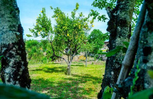 Casa da Guarda de Fora - Foto 56