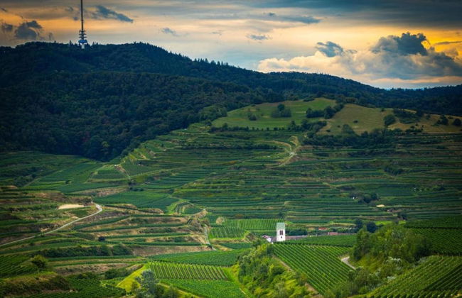 Holiday Apartment Monet in Oberrotweil - Foto 37