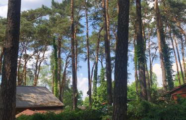 Rudno 48 Domek Letniskowy - Foto 25