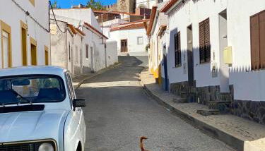 Os 5 Sentidos - Foto 1