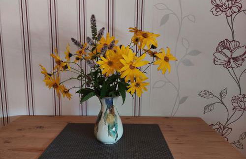 Ferienwohnung im Ostseebad Schönberg nahe Schönberger Strand Ostsee Self-Check-in - Foto 8