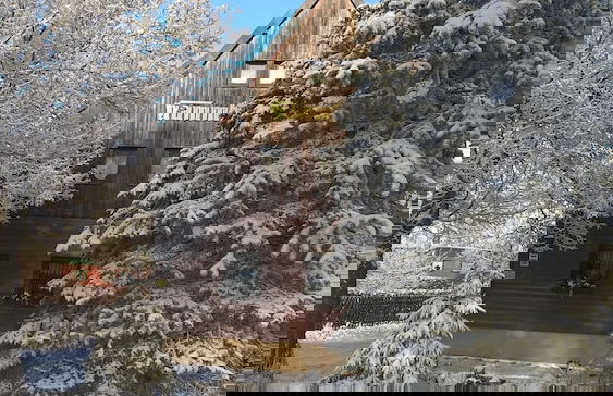 Kammbaude Neuhermsdorf - Photo 14