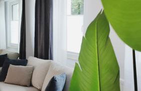 Neu! FeWo Glauchau am Schloss Wlan Netflix Disney - Foto 11