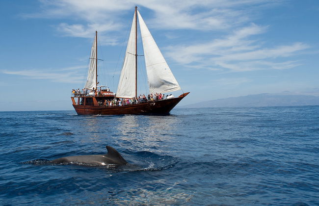 Shogun-Bootsfahrt - Foto 3