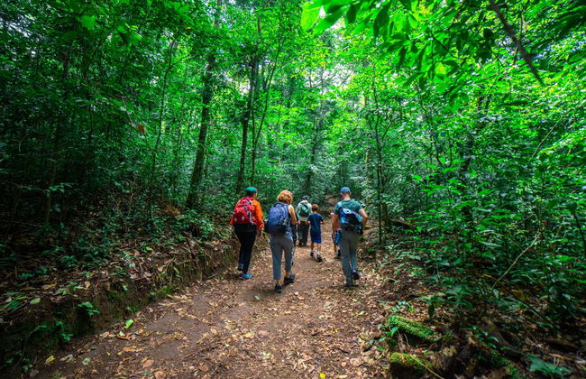 Curi Chancha Reserve Hiking - Photo 1