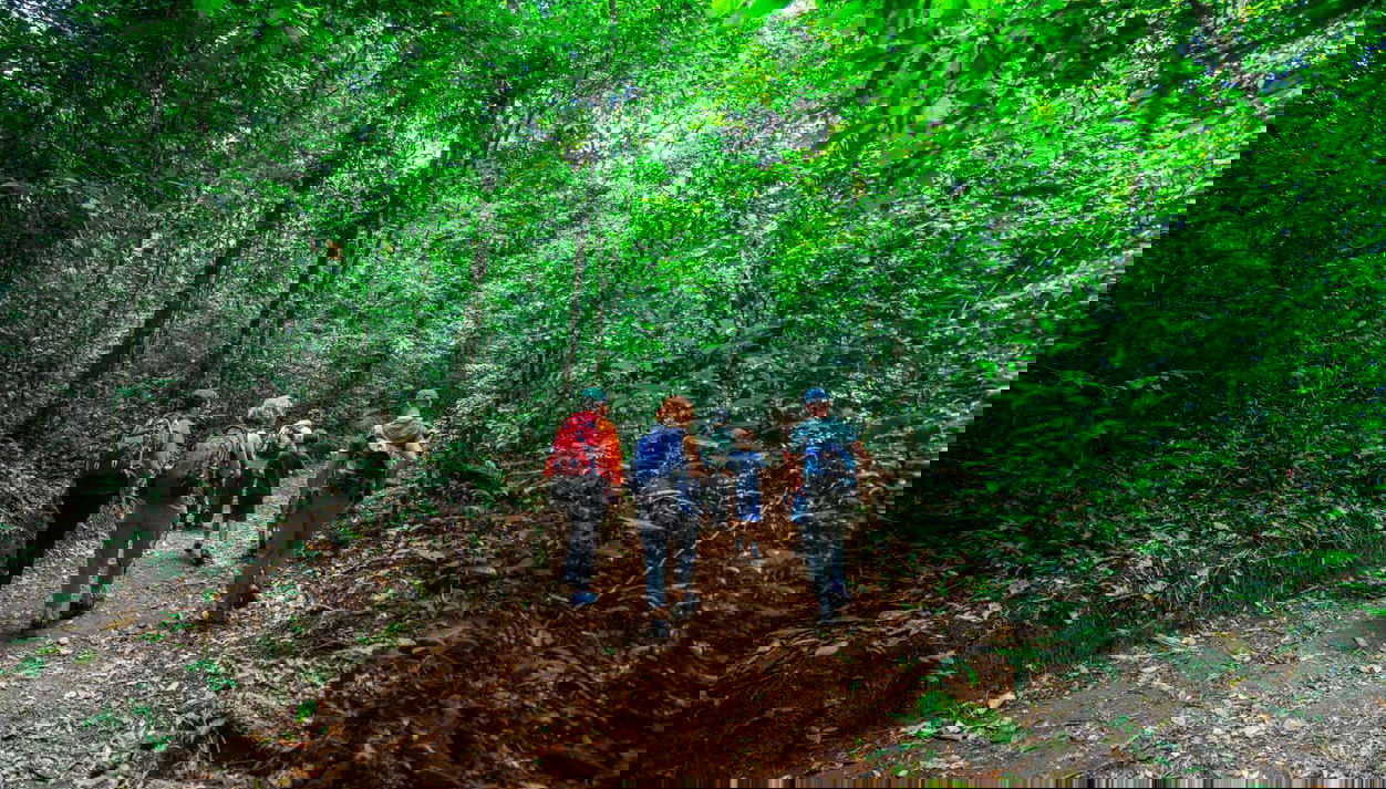 Curi Chancha Reserve Hiking - Photo 1