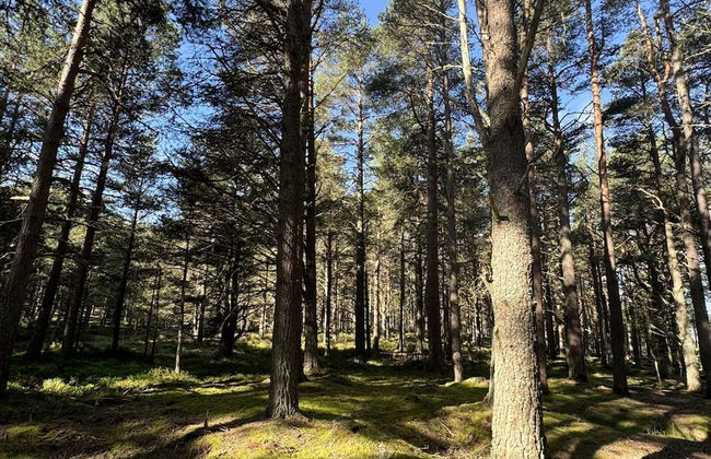 Highland Chalet Retreat in Boat of Garten - Foto 24