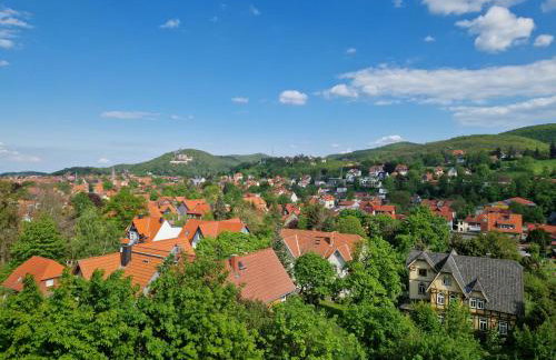 Apartments Villa-Ratskopf Wernigerode - Photo 133