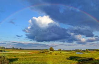 Am Storchennest - Foto 28