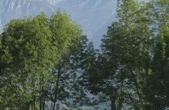 Aptos La Corona-Cabrales-Picos de Europa - Foto 29