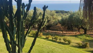 Agriturismo Parco degli Ulivi - Photo 4