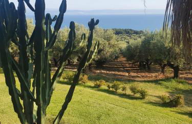 Agriturismo Parco degli Ulivi - Photo 4