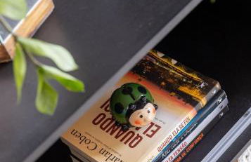 LOCAR-IN GRAMADO- Maria Antonia - Foto 11