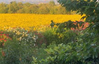 Dreams Valley - Foto 21