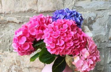 Il Torrione del Trebbia - Foto 45