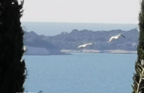 Apartment Brioni Sea,Garden,Poll view 2 plus 2 80m2 tiki bar - Foto 32