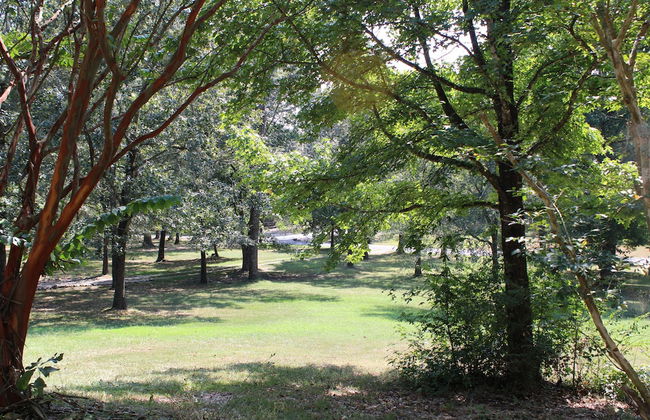 Shalom Chalet - Foto 22