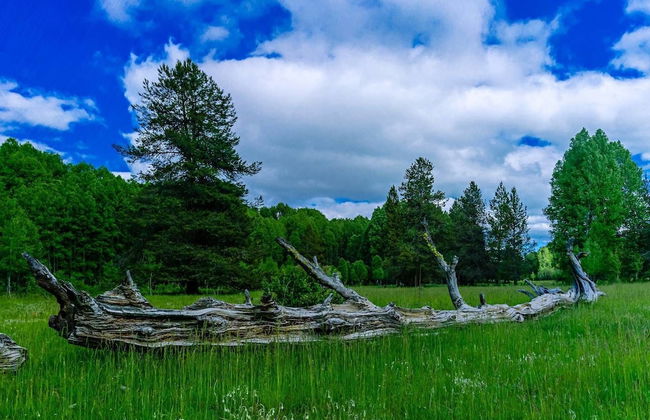 Sun Mountain Ranch Bunkhouse - Near Crater Lake - Foto 31