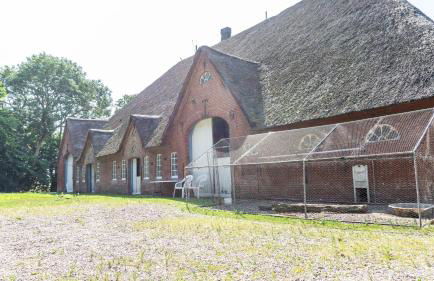 Ferienwohnung Amrum auf dem Holmhof - Foto 22