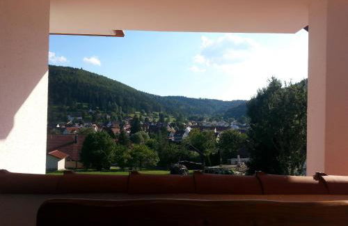 Mayntz' Albjuwel - Foto 4