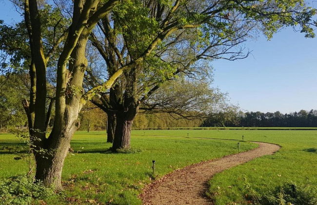 Holiday Home in Netherlands Pond View - Photo 41