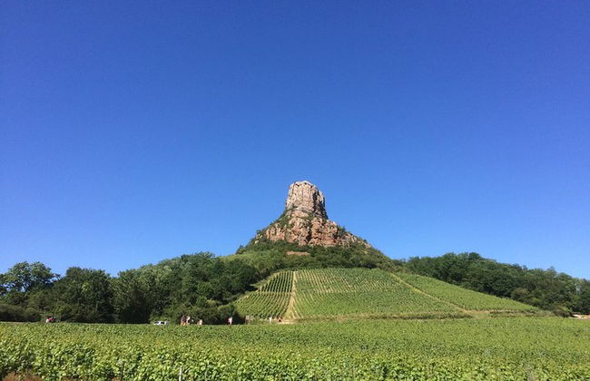 Tour enológico por el sur de Borgoña - Tour compartido de día completo desde Lyon - Foto 1