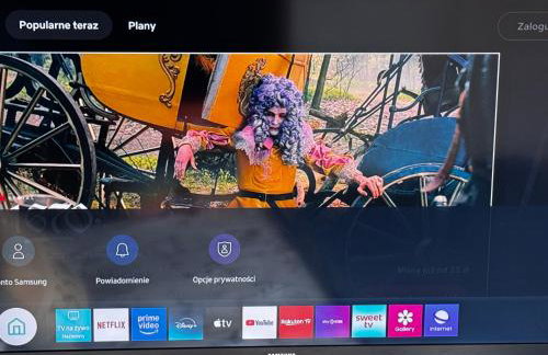 Willa Stornia - Photo 19