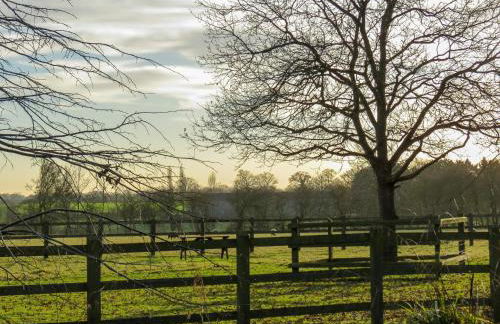 Appletree Cottage Fressingfield - Foto 6