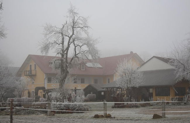 Ferienhof Fenzl - Foto 34