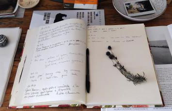 La collina sui trabocchi - Foto 13