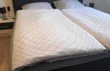 Ferienhaus im Grünen/Monteurzimmer - Foto 6