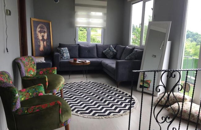 Sapanca mavi yeşil köy evi - Foto 6