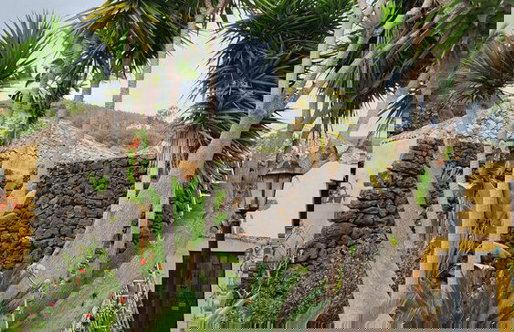 Oasis Hill Botanical Garden - Foto 60