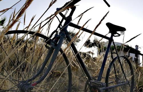 Al Agia - Mirador de los Quinientos - Foto 25