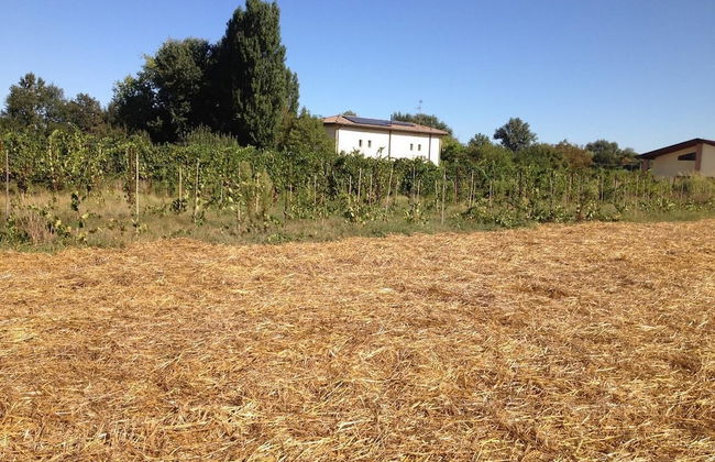 Agriturismo Arcadia - Foto 9